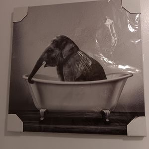 Cute elephant in tub canvas